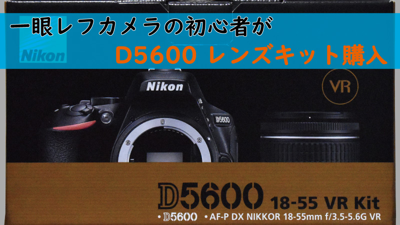 D5600 レンズキットを購入した初心者から伝えたいこと - PhotoBaller