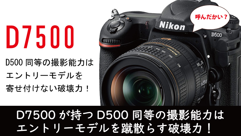 D7500撮影能力